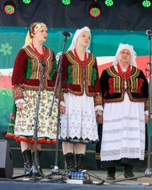 fot. Paweł Wodnicki
