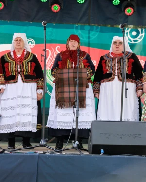 fot. Paweł Wodnicki